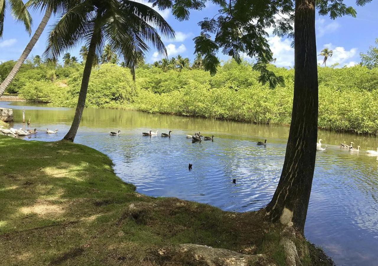 Eco Pousada Paraíso dos Coqueirais Japaratinga Exterior foto