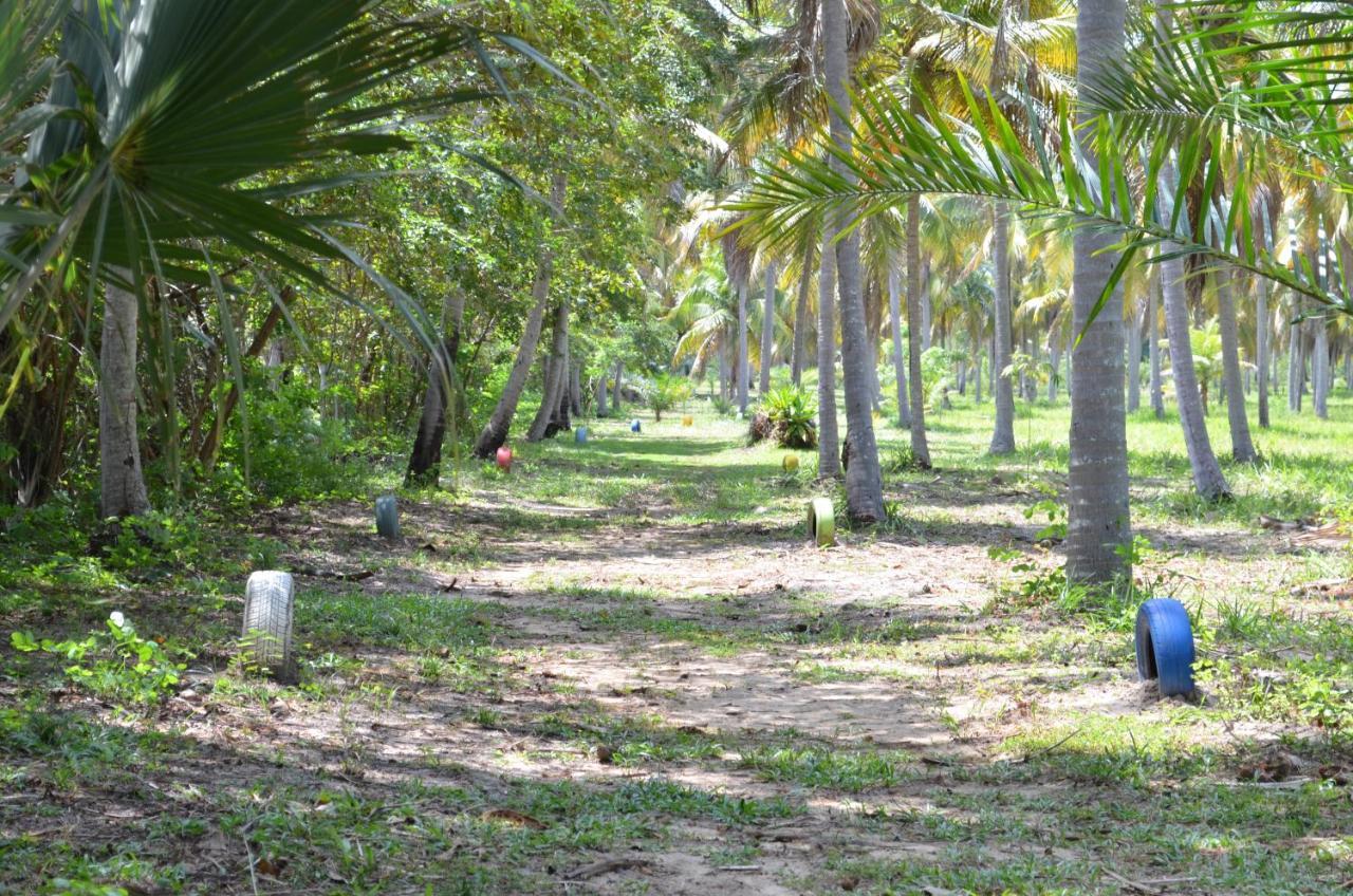 Eco Pousada Paraíso dos Coqueirais Japaratinga Exterior foto